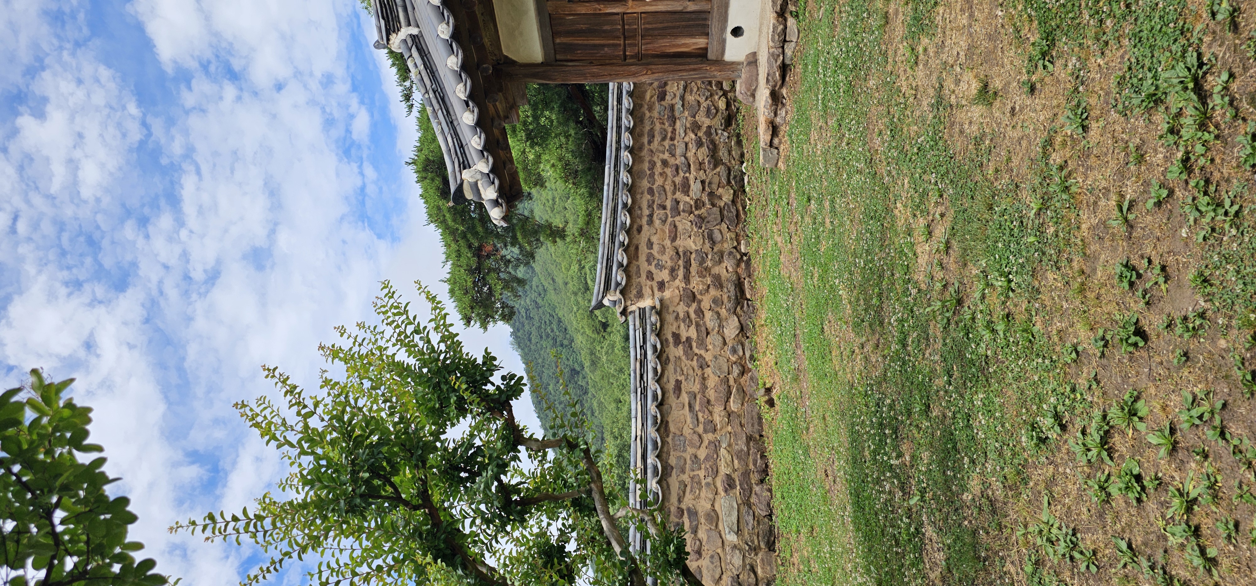 글 표시 이미지